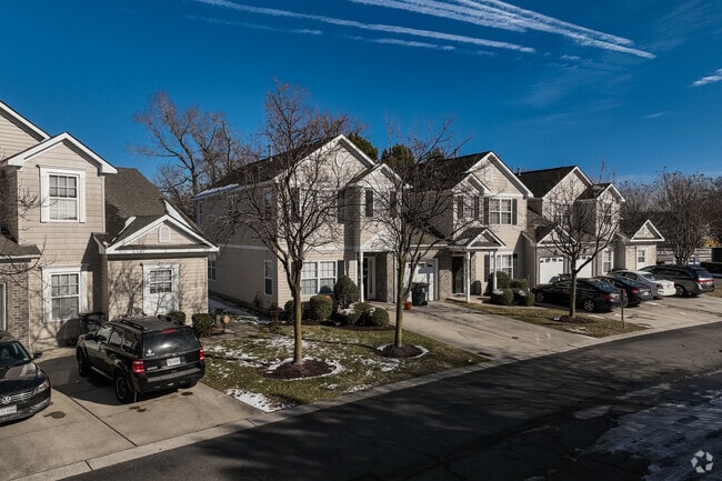 Photo - Witchduck Woods