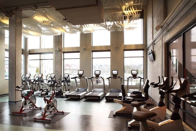 Manténgase activo y con energía en el gimnasio totalmente equipado, que ofrece todo lo que necesita para un excelente entrenamiento en un ambiente moderno y espacioso. - Windsor Ballard