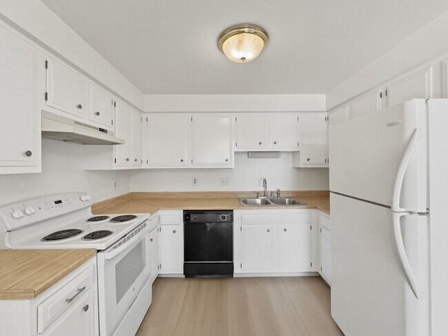 Photo - Simms Street 6155