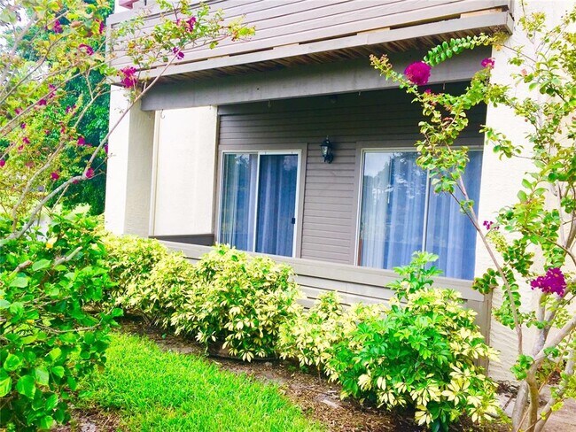 10263 Gandy Blvd N Unit 513