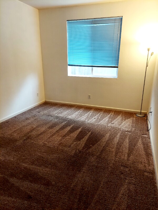 Photo - 504 Occidental Dr