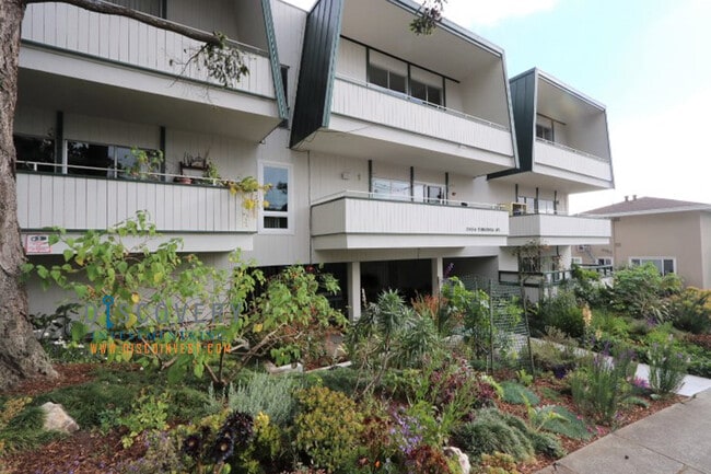 Building Photo - Contemporary North Berkeley Mid-Century 1 Bedroom Condominium