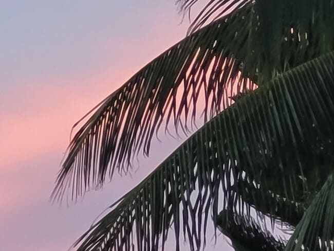 Sunset on back patio - 2005 Fogarty Ave