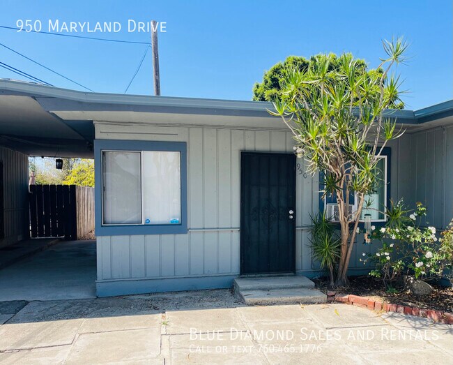 Recently Renovated Unfurnished 1 Bedroom-1... - Recently Renovated Unfurnished 1 Bedroom-1... House