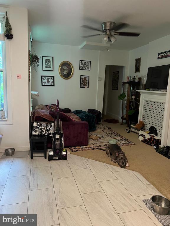 Photo - 262 W Apsley St Unit 1