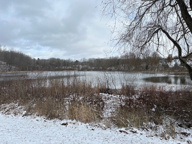 Photo - 18610 House Lake Rd