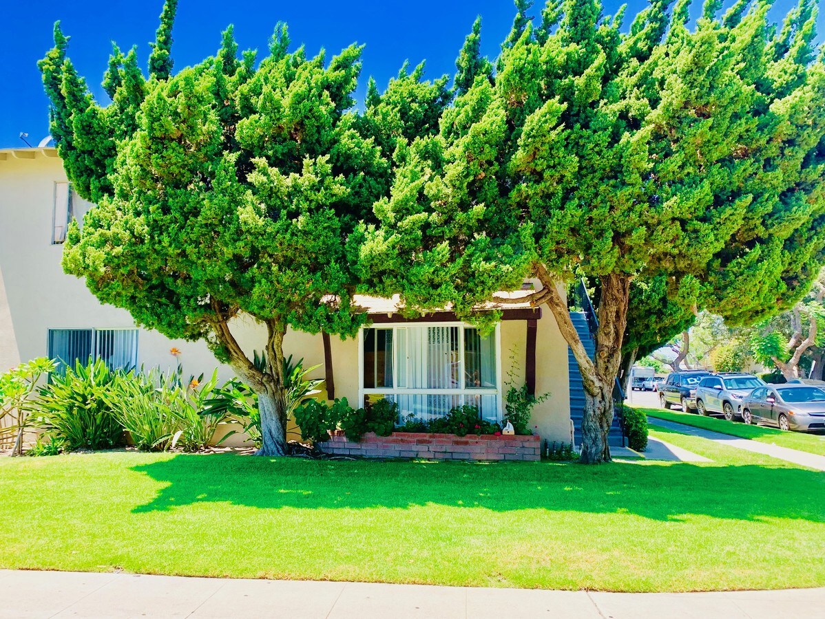 Photo - Shelley Apartments