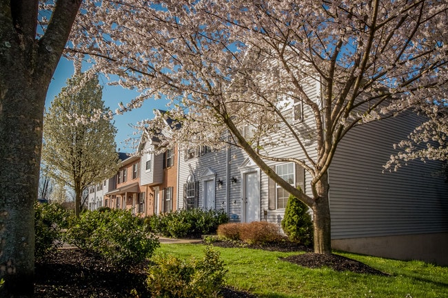 Photo - Charleston Townhouses