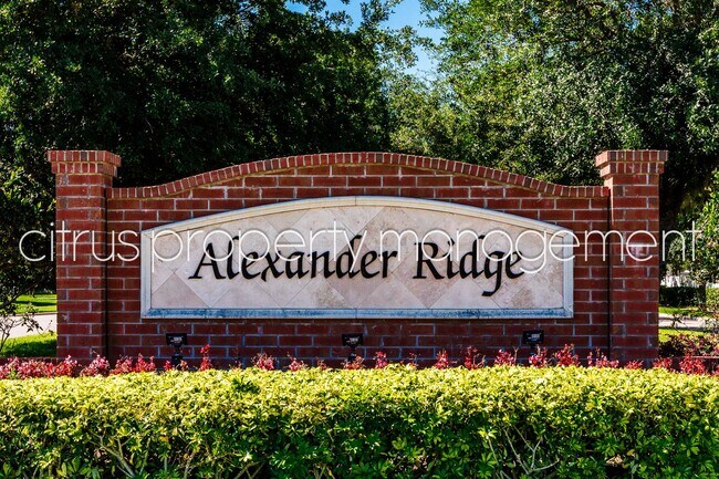 Photo - Charming and Immaculate, Updated 5/3 in Winter Garden's Alexander Ridge