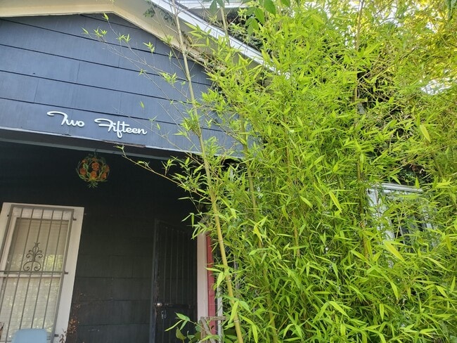 Building Photo - 215 Kings Ct