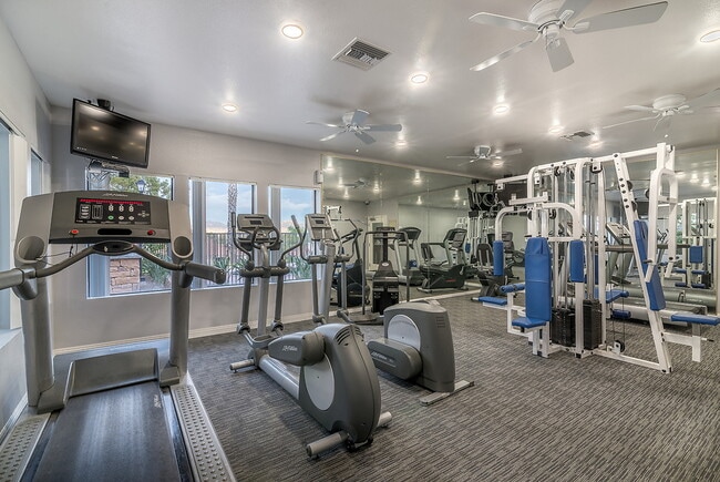 Photo - Bernardo Crest