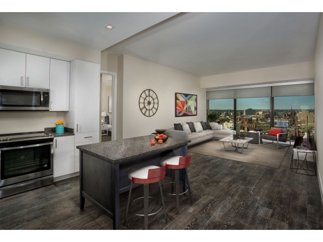 Kitchen/Living Room