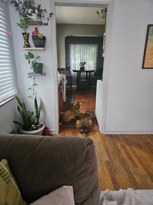 Photo - 3614 Warren Rd