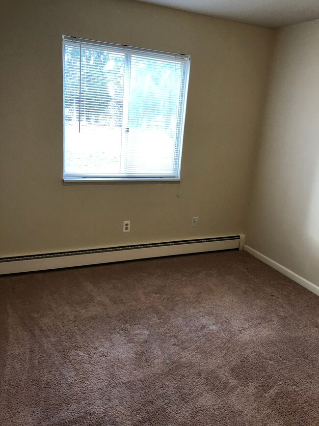 Photo - Pine Tree Apartments