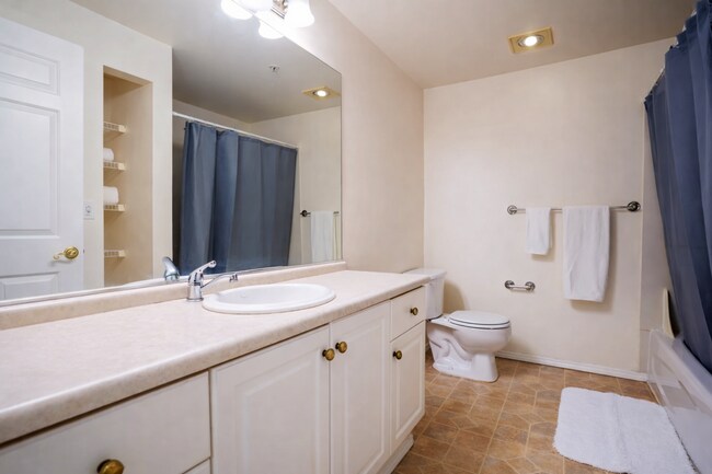 Ainsley Apartments