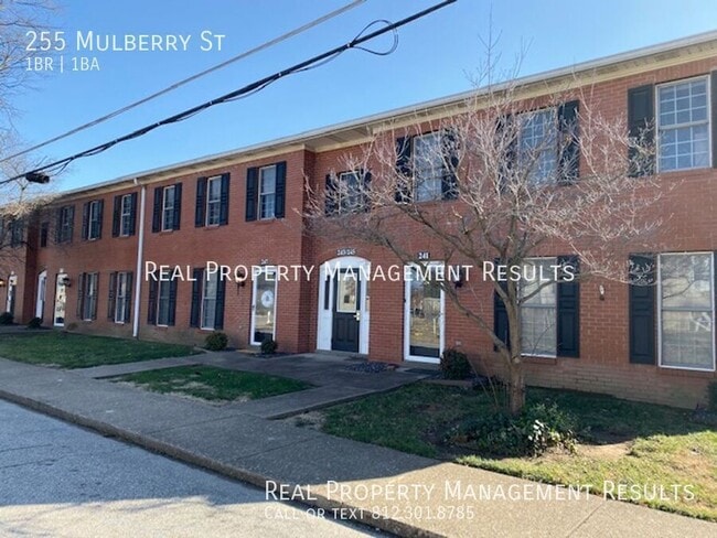 Building Photo - 255 Mulberry St