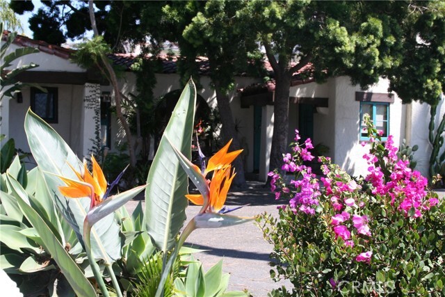 Building Photo - 243 Avenida Madrid