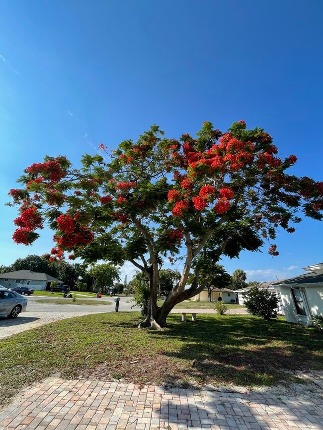 Photo - 27989 Lance Dr