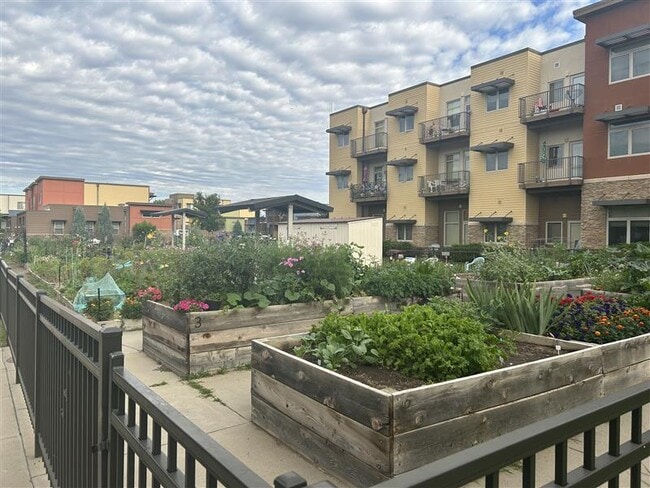 Photo - Josephine Commons