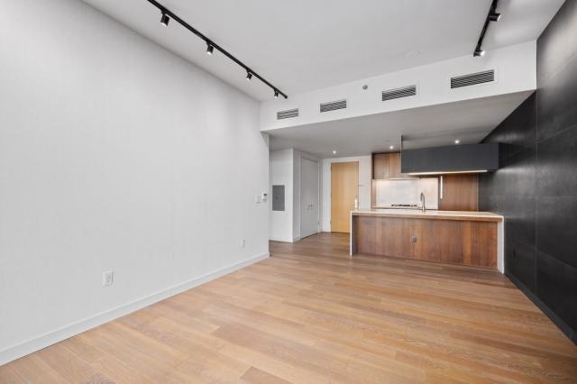 1 bedroom in Long Island City NY 11101 - 1 bedroom in Long Island City NY 11101 Condo Unit 4f