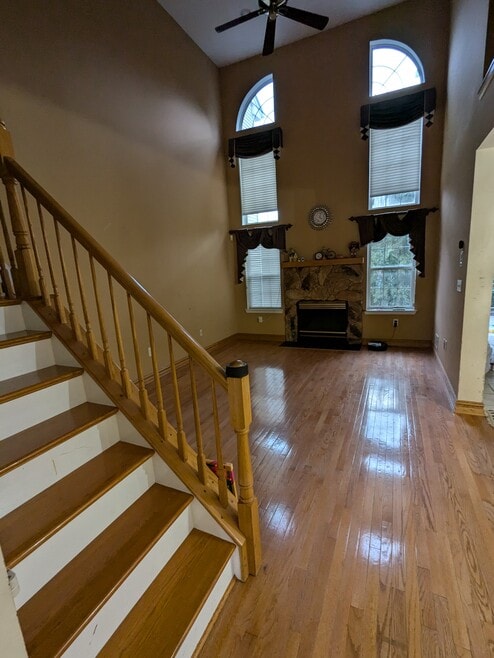 12 Ardmore Pl