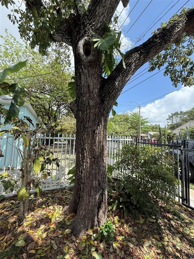 Photo - 294 NE 57th St Unit 1