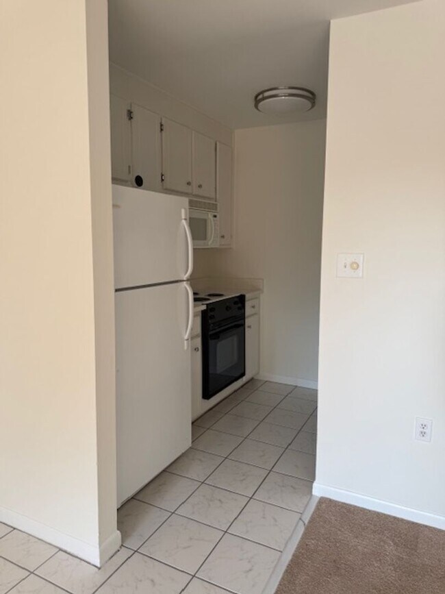 Photo - Salt Marsh Cove