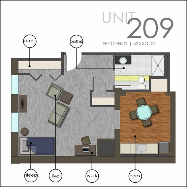 Large Efficiency 209 & 309