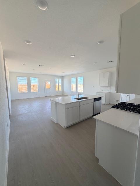 Photo - 1906 Wood Warbler