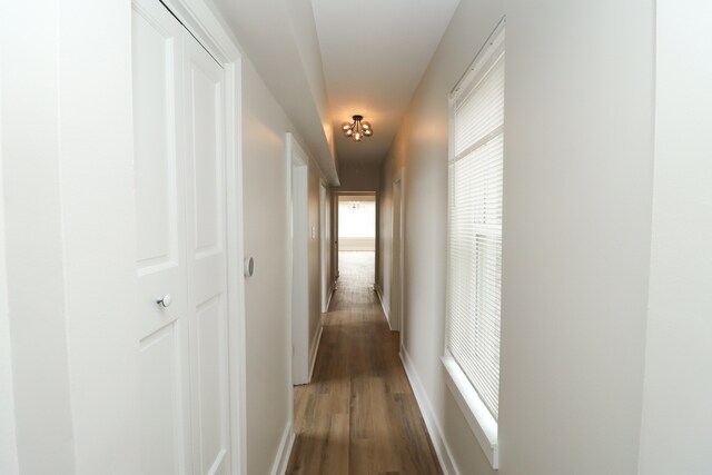 Photo - 6110 S St Lawrence Ave Unit 3