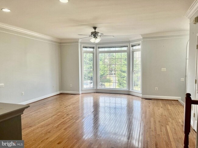 Photo - 5370 Blue Aster Cir