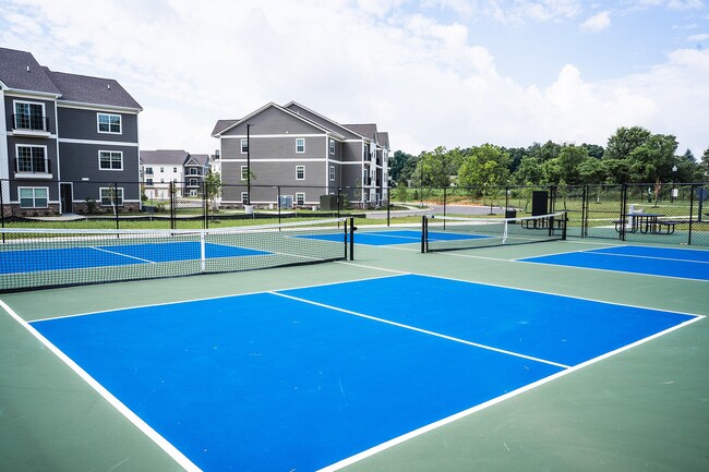 Grab a paddle and embrace the joy of play on our courts, where spontaneous games and friendly energy make it easy to stay active.