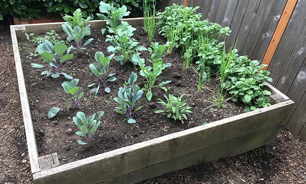 Photo - A. Philips Square