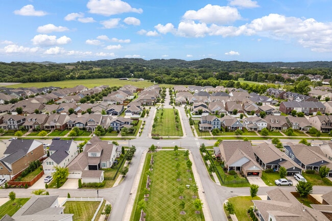 Photo - 1578 Drakes Creek Rd