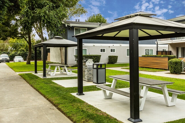 Picnic Tables