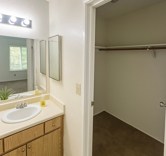 Photo - Camino Creek