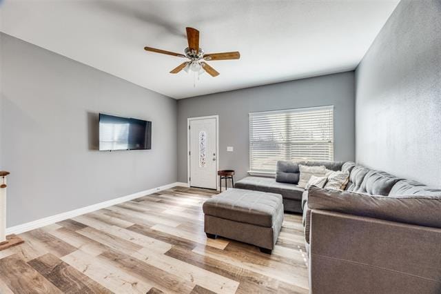 Photo - 1429 E Odneal St