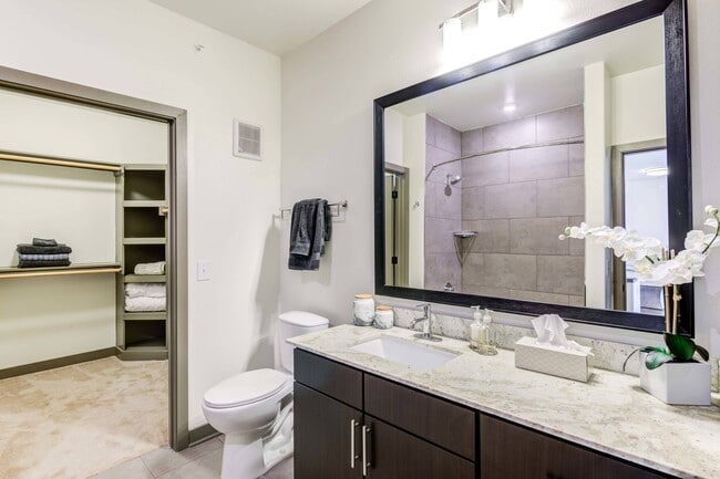 Renovated Bathroom with Walk-in Closet