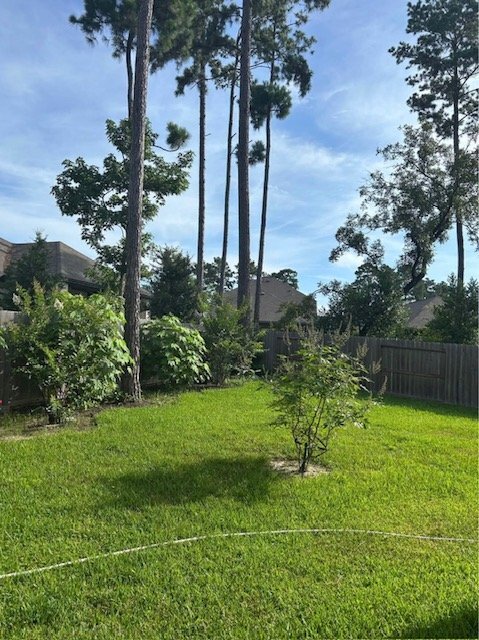 322 Fanpalm Ct