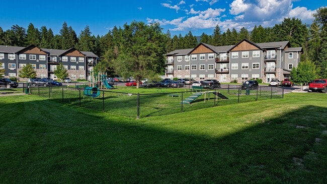 An expansive dog park with agility equipment
