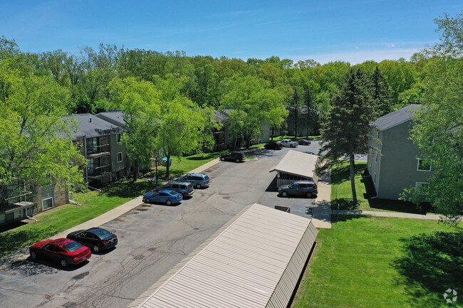 Photo - Autumn Woods