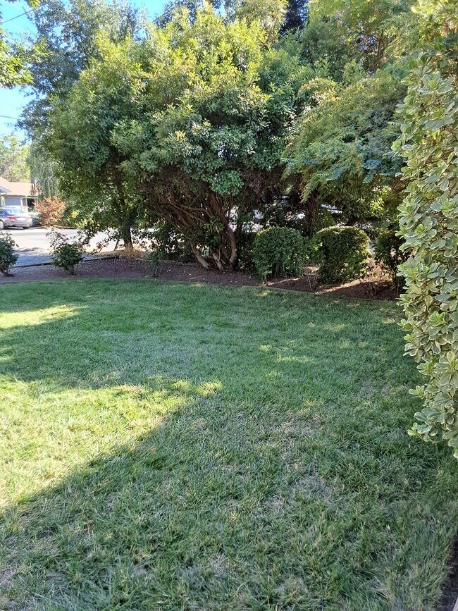 Photo - 3 bed/1.5 bath on large corner lot