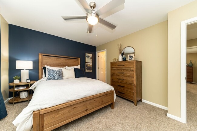 Cozy bedroom with carpet