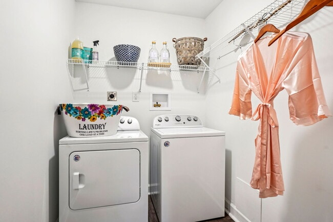 One Bedroom - Closet/Laundry Room