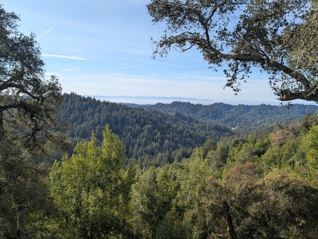 Photo - 23554 Mountain Charlie Rd