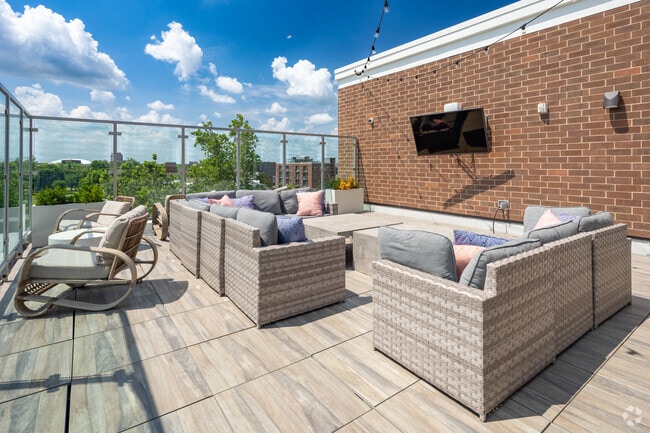 Roof Top - Legacy202