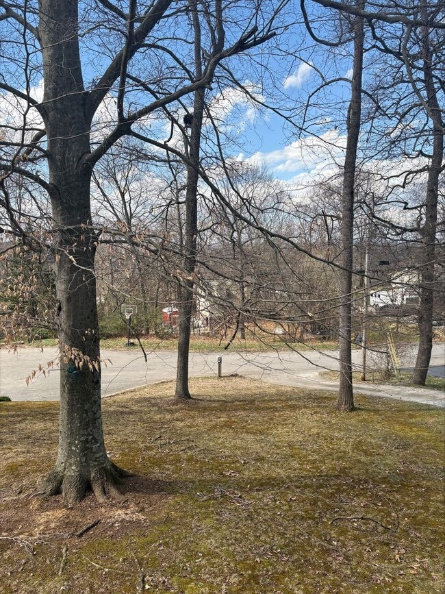 Photo - 3 Bedroom 2 Bath in Gray