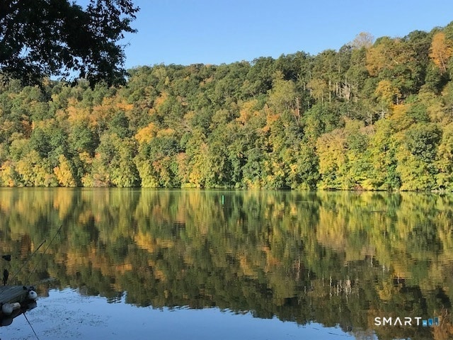 Photo - 75 Lake Lillinonah Rd N