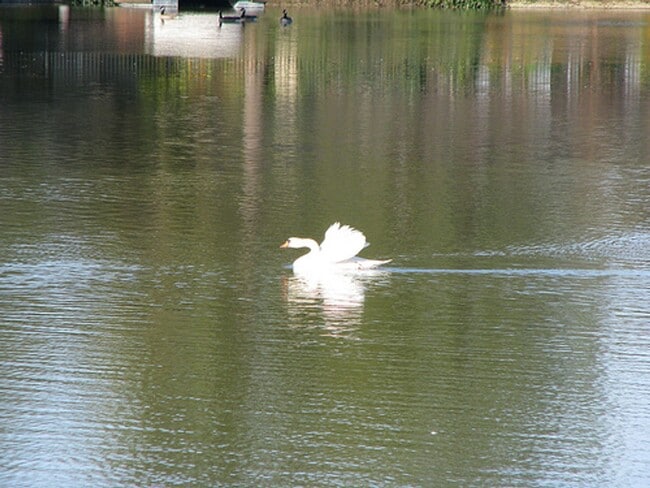 Photo - Lakeshore Apartments - Lake Views!