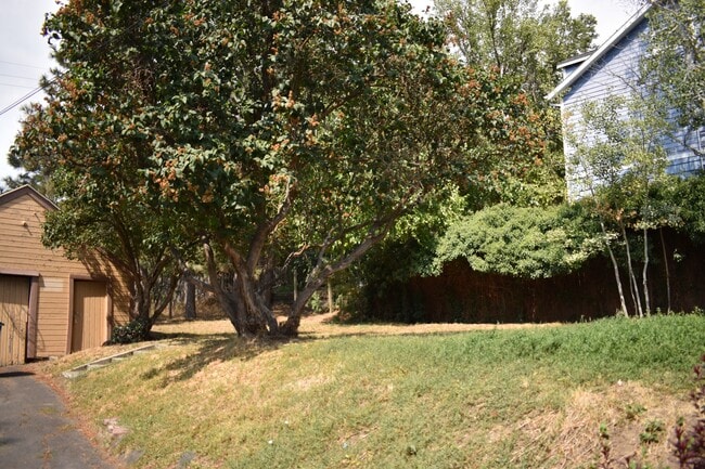 Photo - 229 Cherry St